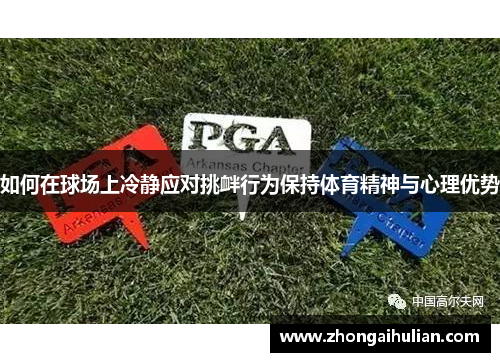 如何在球场上冷静应对挑衅行为保持体育精神与心理优势